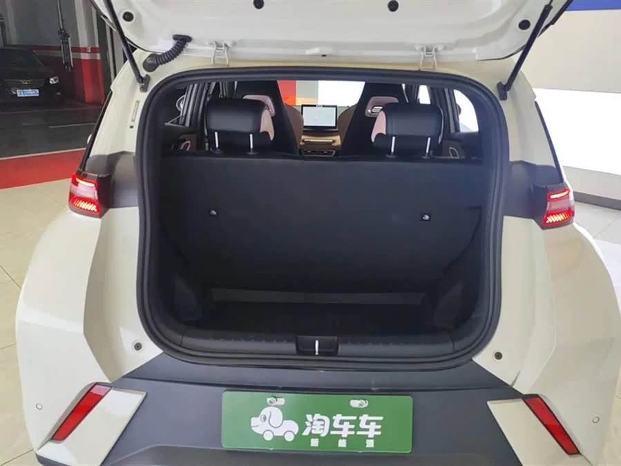 BYD Seagull