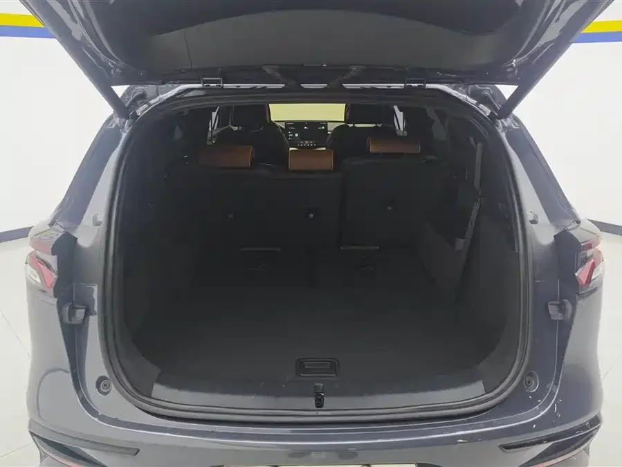 BYD Tang New Energy