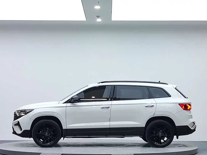 Jetta VS7