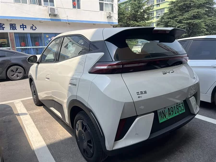 BYD Seagull