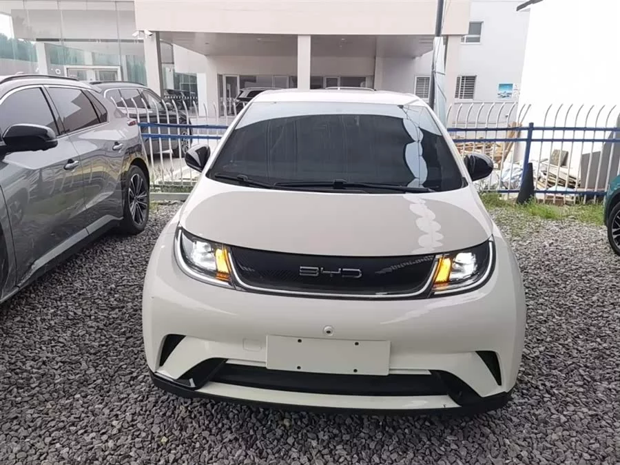BYD Dolphin