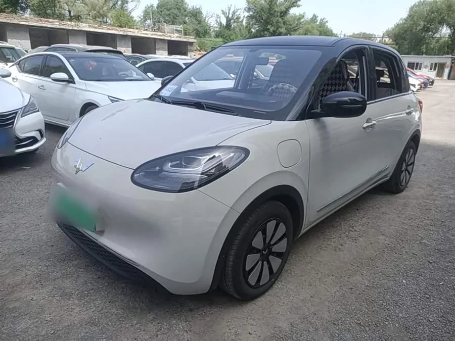 Wuling Bingo