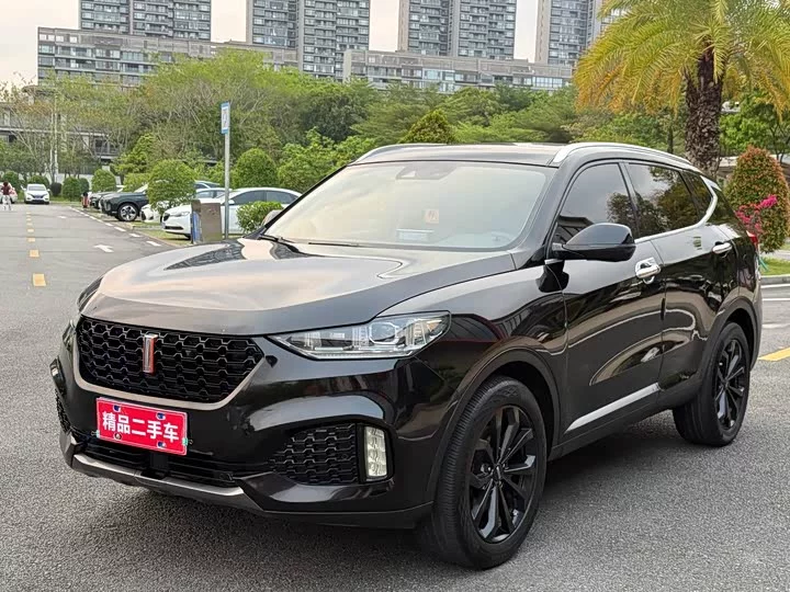 Wey VV6