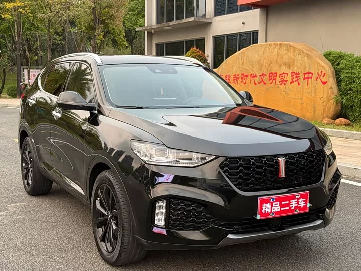 Wey VV6