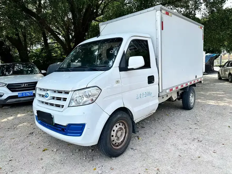 Rich Cars Rich New Energy EC31