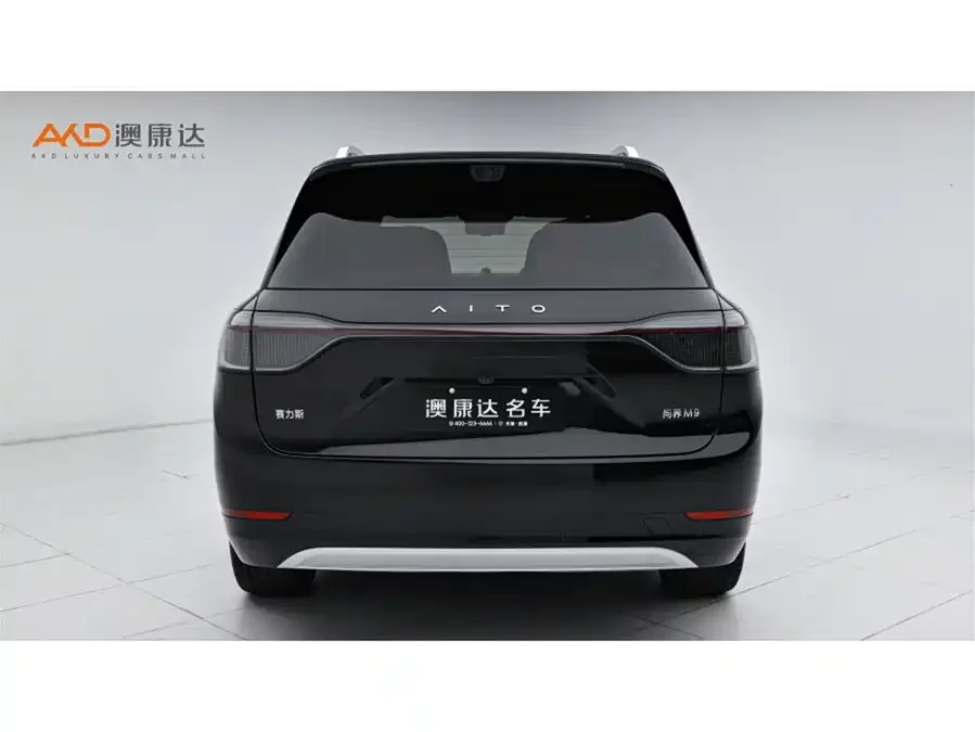 AITO Wenjie M9