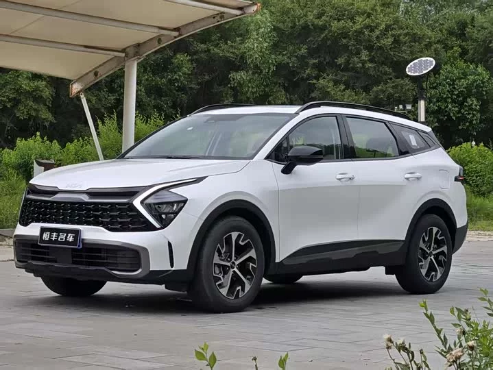 kia Lion Platinum Expands the Boundary