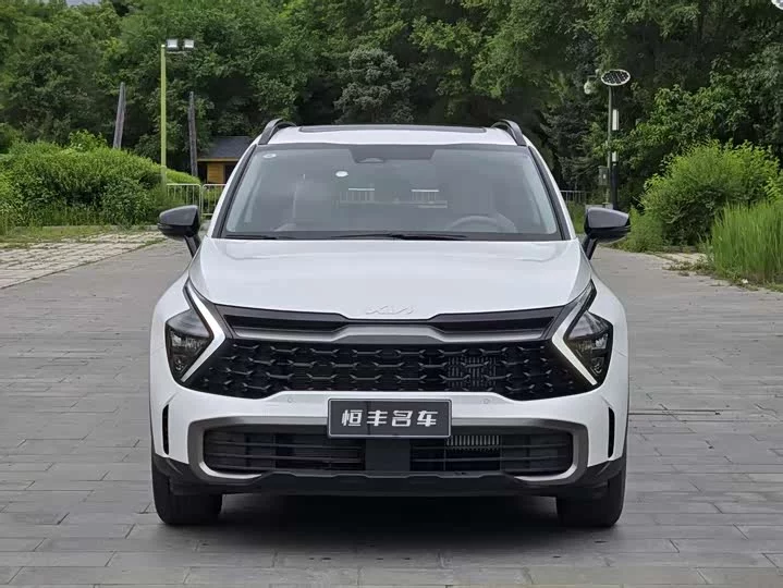 kia Lion Platinum Expands the Boundary