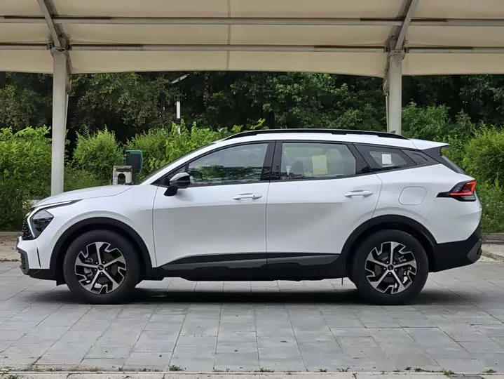 kia Lion Platinum Expands the Boundary