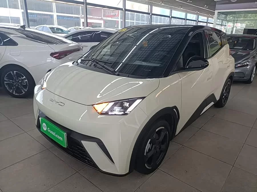 BYD Seagull