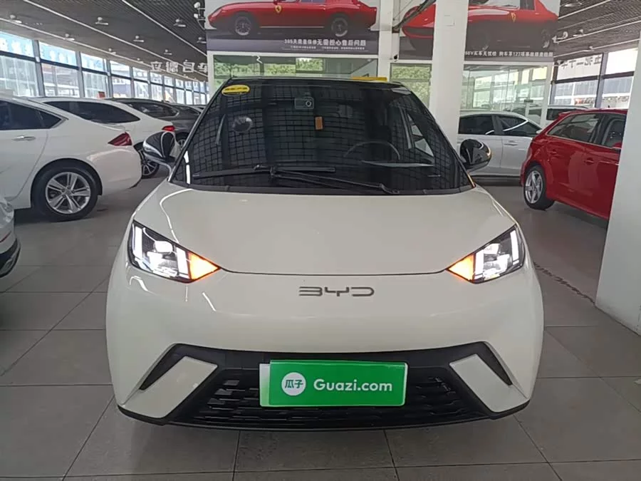 BYD Seagull