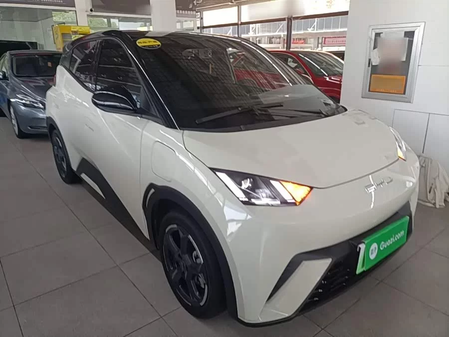 BYD Seagull