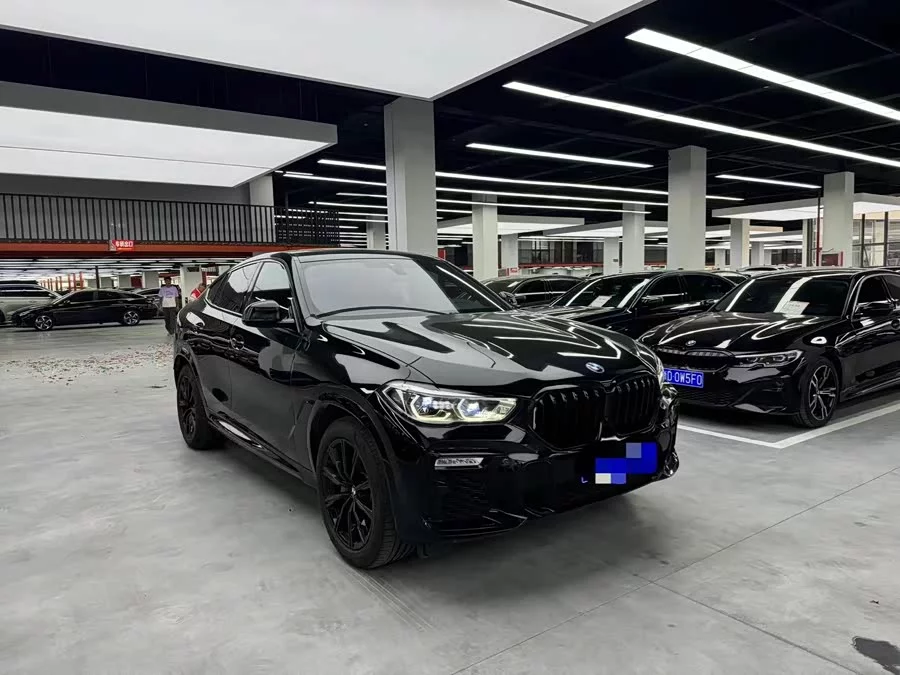BMW X6