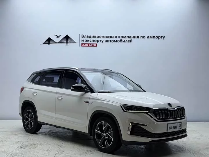 Skoda Comek