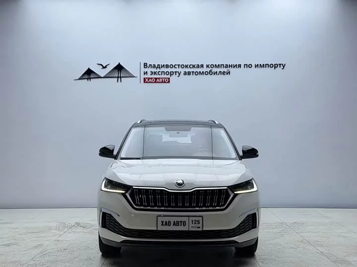 Skoda Comek