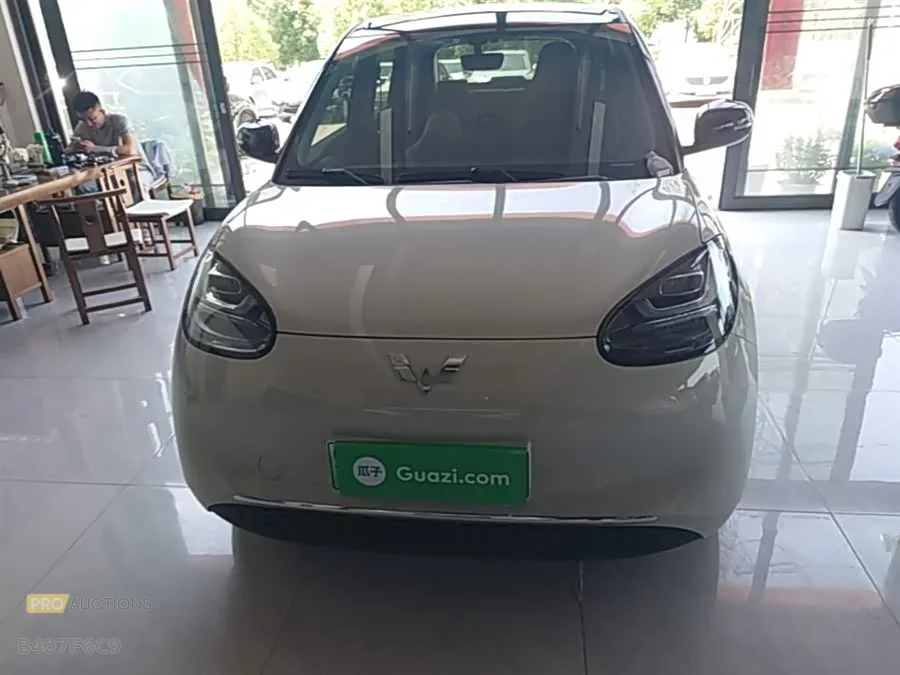 Wuling Bingo
