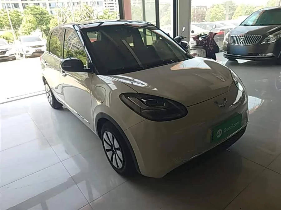 Wuling Bingo
