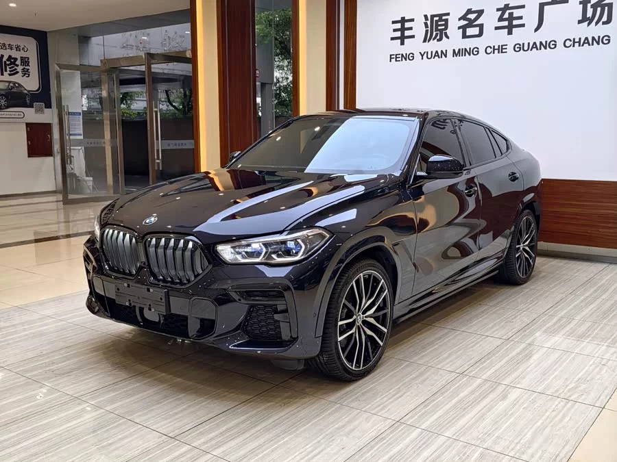 BMW X6