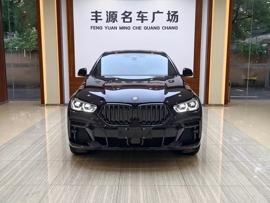 BMW X6