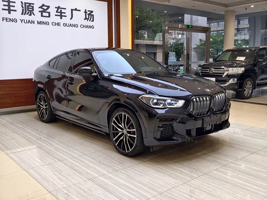 BMW X6