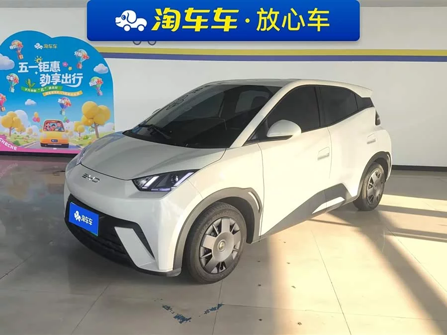 BYD Seagull