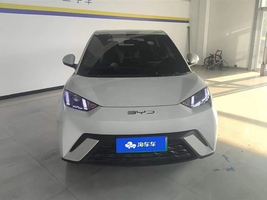 BYD Seagull