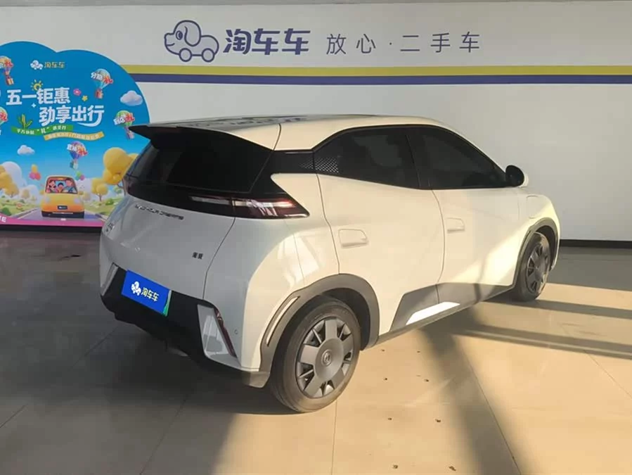 BYD Seagull