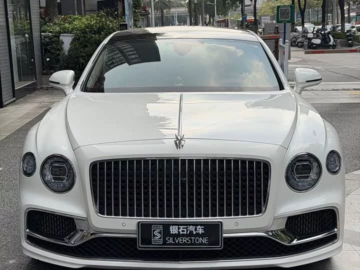 Bentley galloping