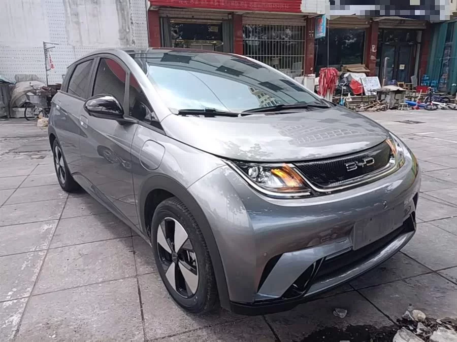 BYD Dolphin