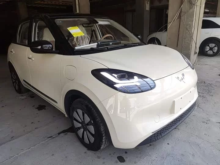 Wuling Bingo
