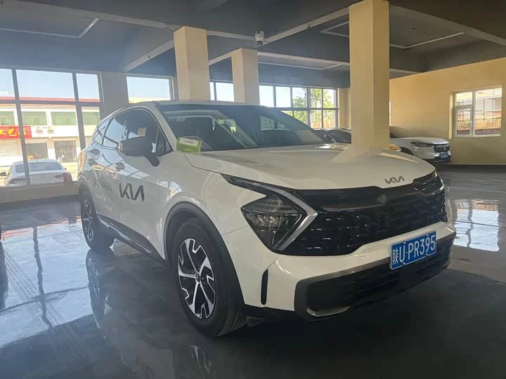 kia Lion Platinum Expands the Boundary
