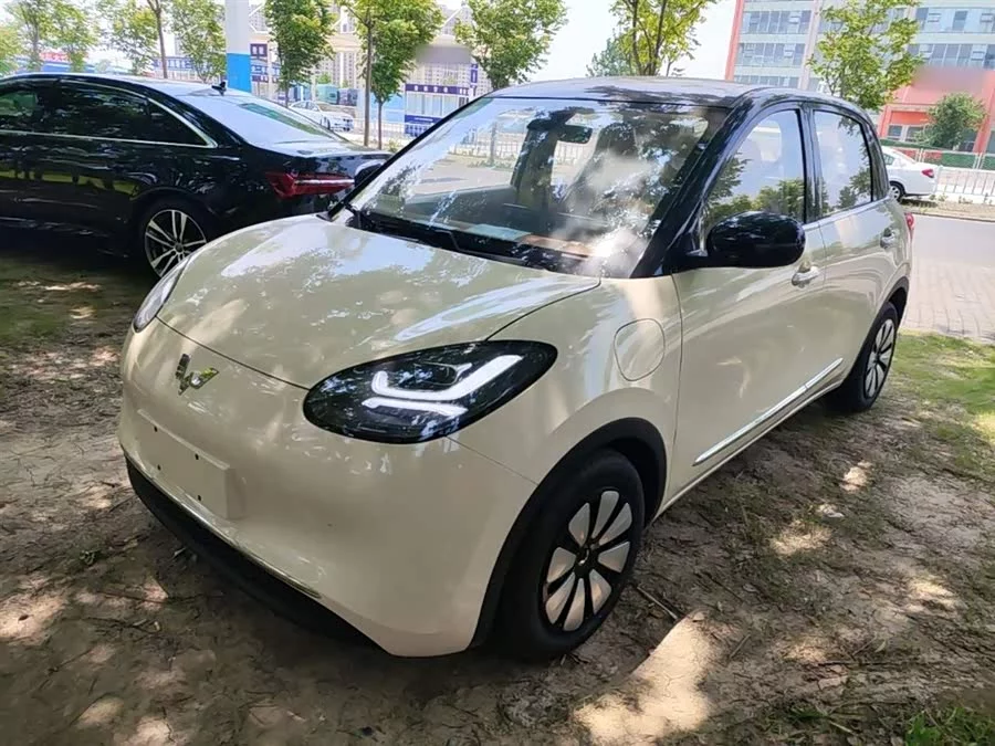 Wuling Bingo
