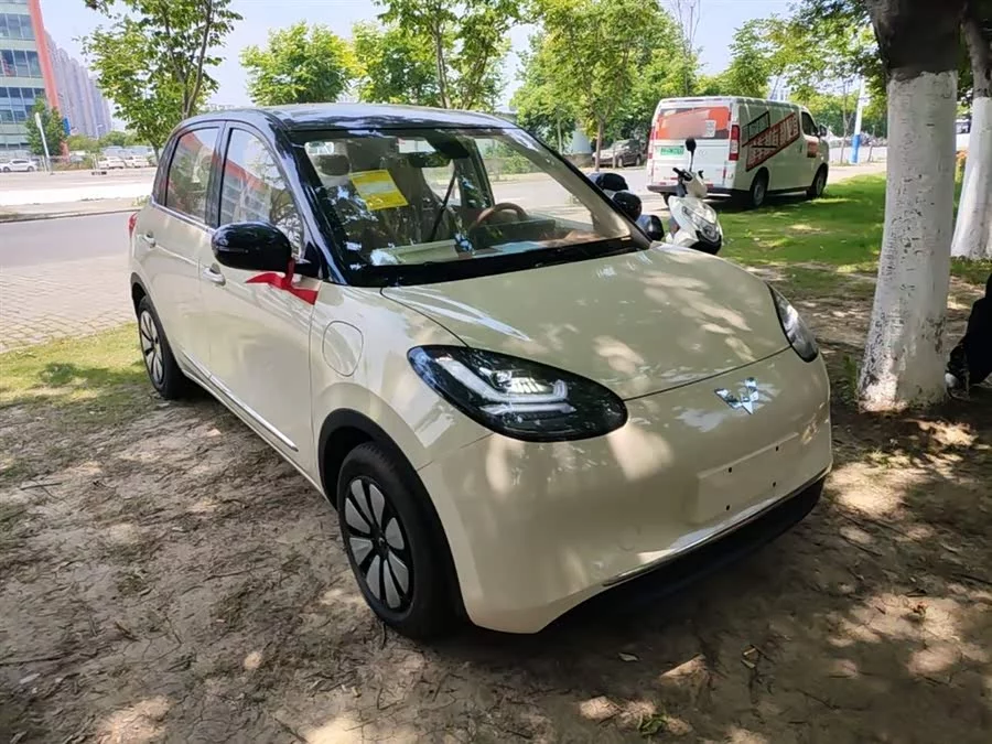 Wuling Bingo