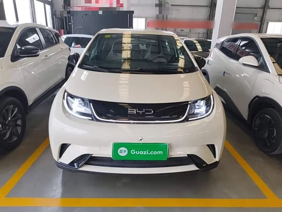 BYD Dolphin