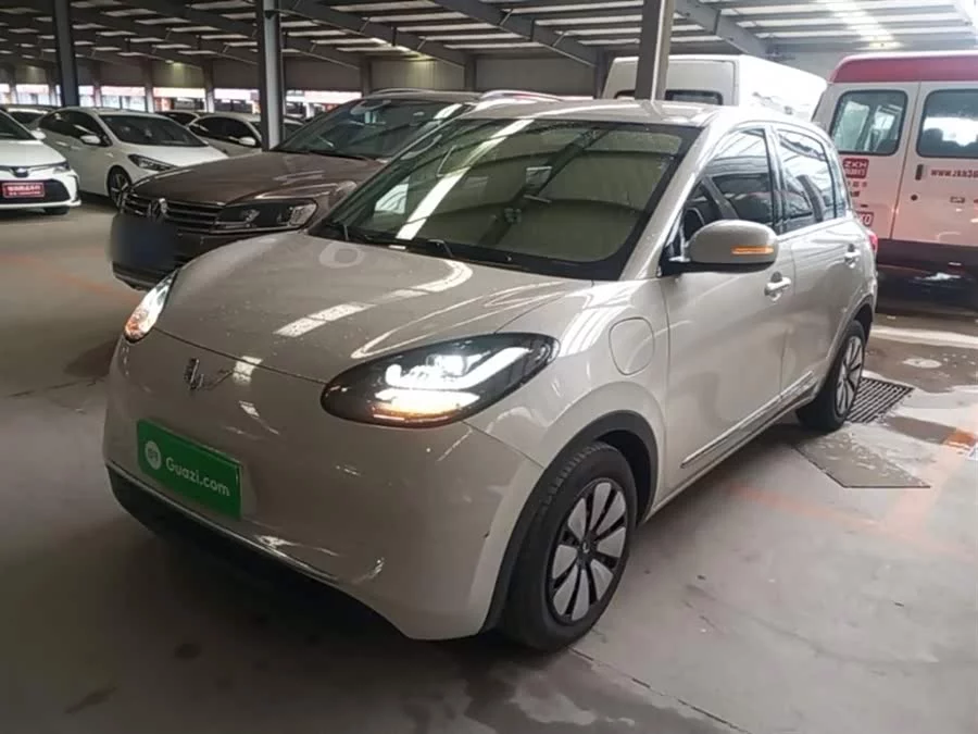 Wuling Bingo