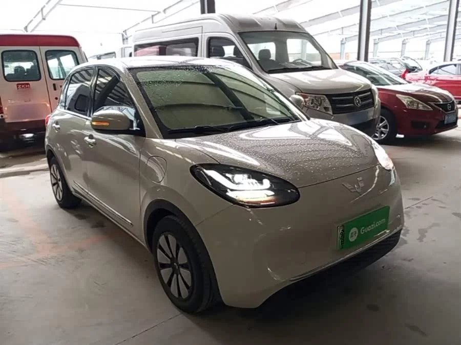 Wuling Bingo