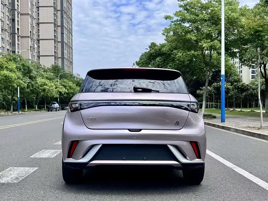 BYD Dolphin