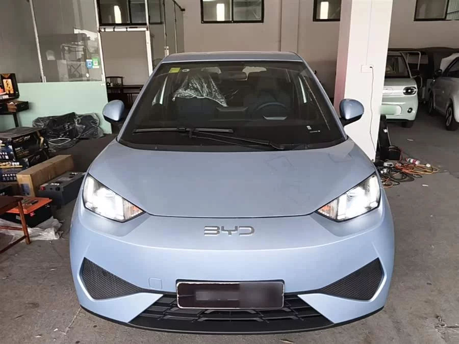 BYD Seagull