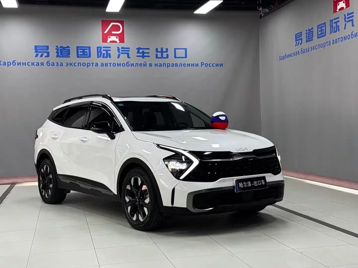 kia Lion Platinum Expands the Boundary