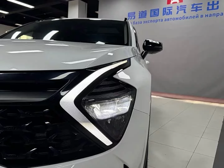 kia Lion Platinum Expands the Boundary