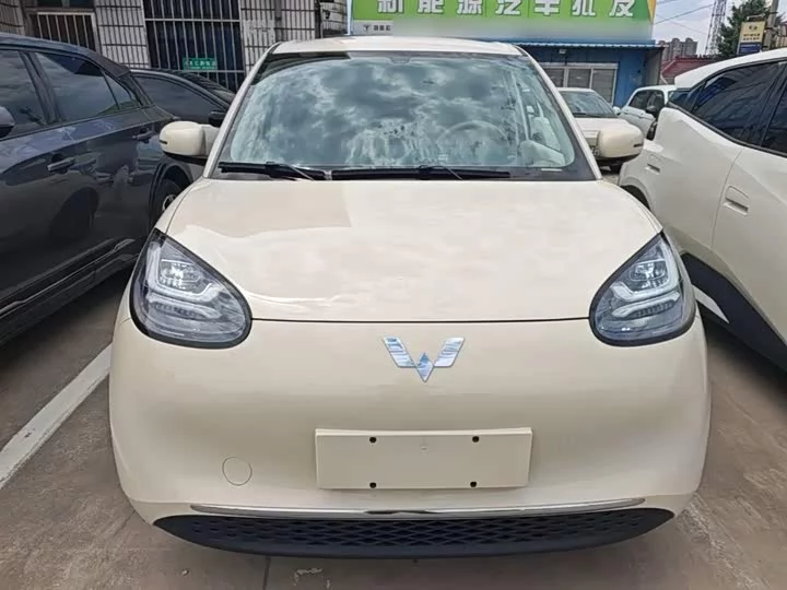 Wuling Bingo