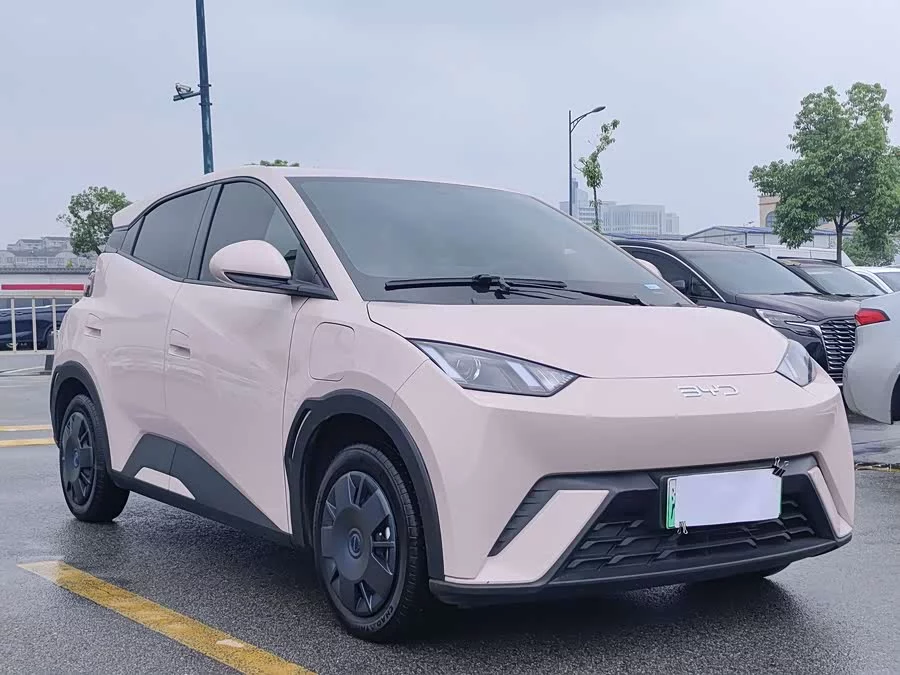 BYD Seagull