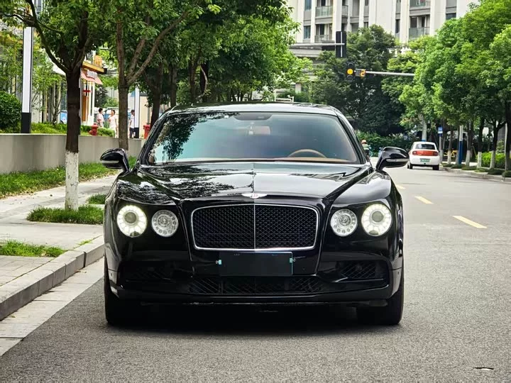 Bentley galloping