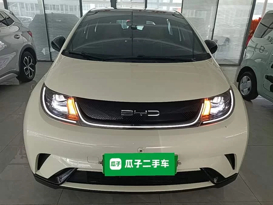 BYD Dolphin
