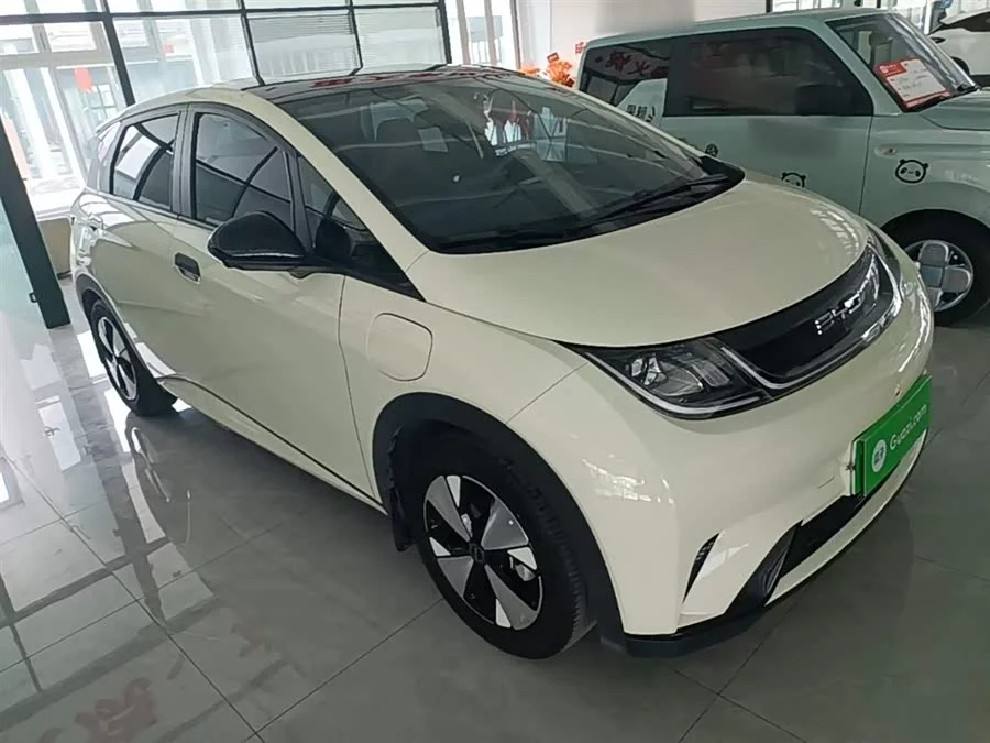 BYD Dolphin