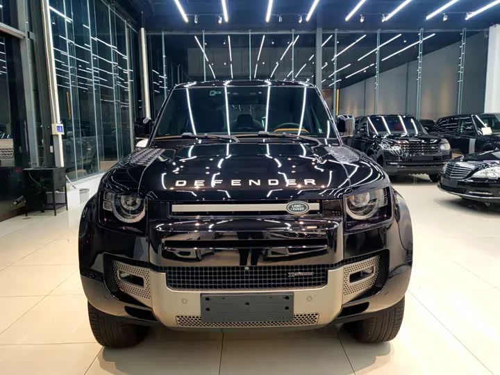 Land Rover guard