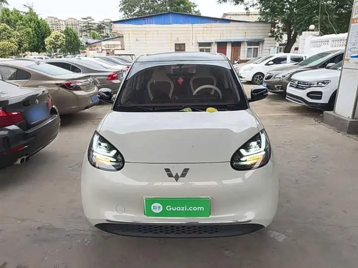 Wuling Bingo