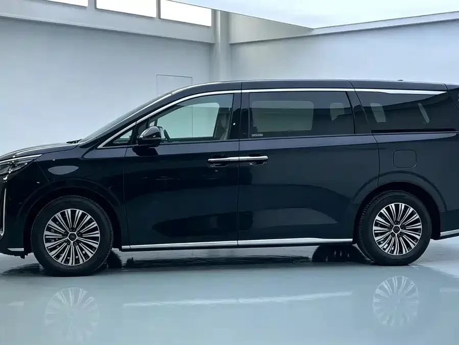 BYD M9