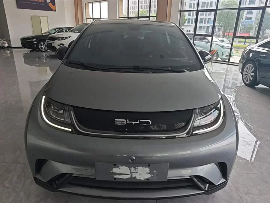 BYD Dolphin