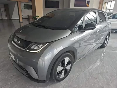 BYD dolphin